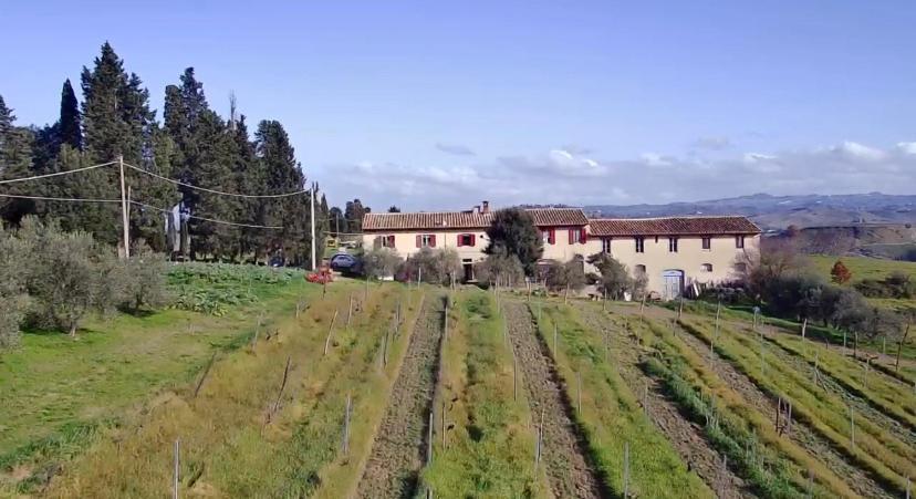 Agriturismo Fattoria Le Caprine Гамбаси Терме Екстериор снимка
